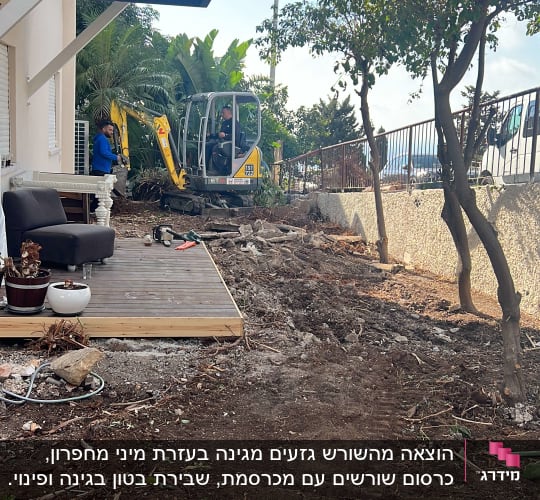 עץ גזום ליד חפירה עם טרקטור קטן